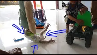 very cute and funny baby Leo Monkey naught to his family