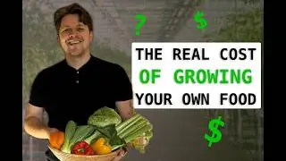 How Much Does It Cost to Grow Your Own Food Year-Round? 🌱 | Perpetual Harvest Setup for 4 People