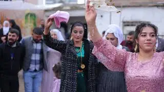 FOTO DAMLA EŞİRA HAMA  SEDEF VE KADİR DÜĞÜNÜ:2023 FULL #wedding #aşiretdüğünü #drawing