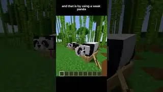 Minecraft Panda Slime #minecraft #shorts #panda #slime