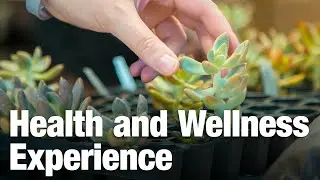 Health and Wellness Experience | CU Boulder
