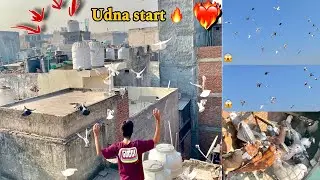 Aj apne gole kabutoro ne dil Khush kr diya 🤯🔥💯|| maza agya aaj to guyz 🫶🏻