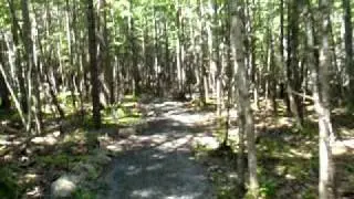 Nine Mile River Trails