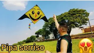 SEM DÚVIDA  ESSA PIPA É A MAIS BONITA DE TODAS #ROSELEIPEÇANHA #PIPAS