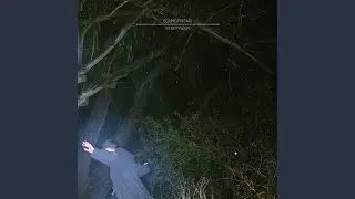 Runner