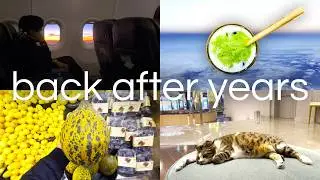 Revisiting Istanbul: matcha, street cats, and the cozy spots i missed