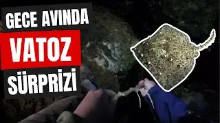Maltepe ve Dragosta LRF, Yemli ve Çapari Denedik | Sürpriz Vatoz