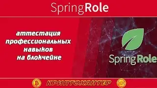 SpringRole &ndash; аттестация профессиональных навыков на блокчейне
