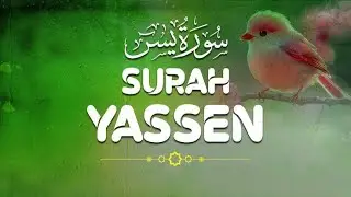 Surah Yaseen: The Key to Understanding the Quran