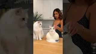 Драматическая паника: Так торт не режут! 😱🎂
