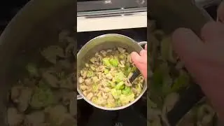 Chicken Stroganoff with added Vigor Collagen - creamy, high in protein and batch cookable