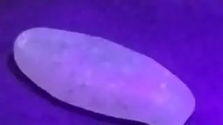 Swedish fish glow in the dark
