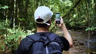 Salve Floresta - Eco Lodge / Mata Atl&acirc;ntica / S&atilde;o Paulo / Brasil