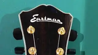Eastman AR810CE-SB