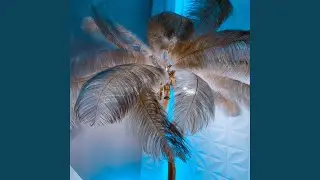Intro