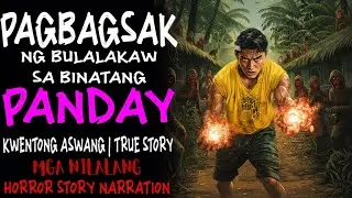 PAGBAGSAK NG BULALAKAW SA BINATANG PANDAY | Aswang True Story