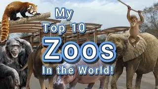 Top 10 Zoos... In my Opinion!