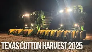 Can't Strip Cotton Today - 8260R Oil Leak Repair