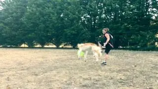 Daisy's reverse foot vault