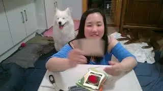 Postmark'd Studio Farmers Market Special Delivery Box Unboxing