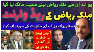 Red warrant issued against Malik Riaz || (Nawaz Bhutto)