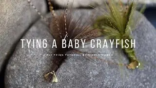 Baby Crayfish Fly Pattern - The Quilted Tyer
