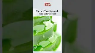 Farm Secrets AloeVera Face and Body Gel  #AloeVeraGel #FaceAndBodyCare #SoothingTouch