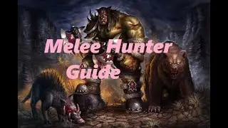 Melee Hunter 25 SoD Guide - Race, Talents, Runes, pets and Rotation