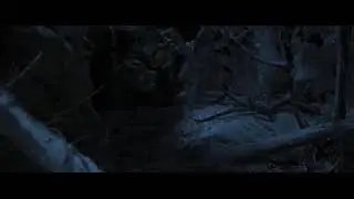 Tiger vs wolves