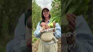Support your local farms #organicveg #nzfarming #eatlocal