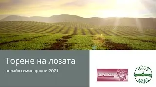 Торене на лозата