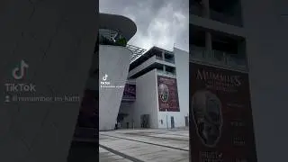 Miami Frost Science Museum #shorts #thingstodoinmiami