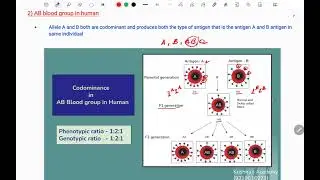 Codominance....Biology for Everyone.....NEET...,LT,TGT,PGT,TET,CTET,PSC,UPSC.....Krishna's Academy