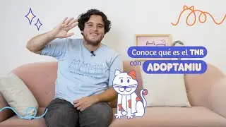 &iquest;Qu&eacute; es TNR? 🐱