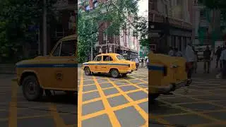 Farewell to a Legend: Kolkata's Yellow Taxi 🚕💛 | #KolkataTaxi #YellowTaxi #CityOfJoy