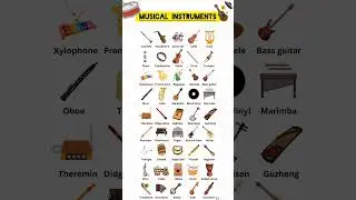 Musical Instruments Names with Pictures | Learn Instruments for Kids and Beginners