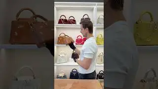 LV Capucines из кожи телёнка с милыми домашними питомцами из новой коллекции! Доставка во все города
