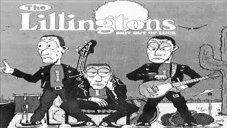 The Lillingtons - I got abducted by an UFO guitar&bass cover
