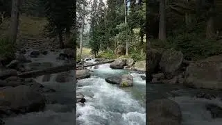 Summer Vacation in Pahalgam &ndash; A Paradise on Earth! 🌿🏔️✨ #reels #short #vibes #new #viral #vc #paha