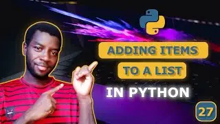 27 - Add Items to a Python List Using append() and insert()