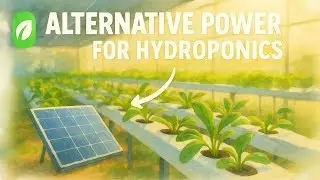 Powering Your Hydroponic System