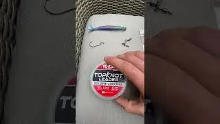 Wrasse Fishing RIG/SETUP