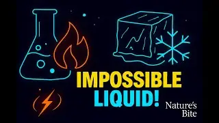 Boiling and Freezing at Once — Explained