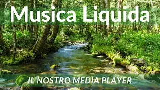 MUSICA LIQUIDA - Il Nostro Media Player!