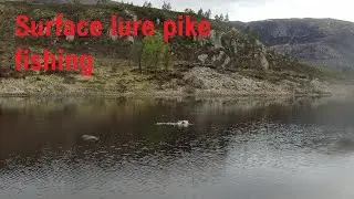 Surface lure pike fishing