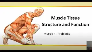 Module 2 Video 2C neuromuscular problems movie