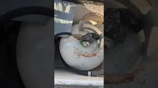 60 second boat survey (Ep19) LPG system problems!