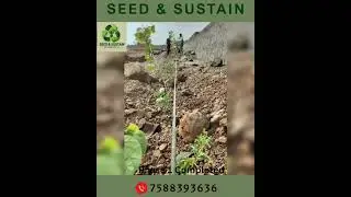 Farm House | Green House | Seed and Sustain |