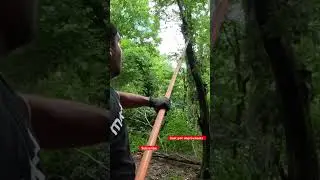 FISKARS POLE SAW WORKS GREAT!  #shorts