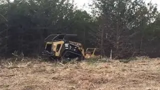 ASV RT-120 Forestry cutting cedar trees with 60